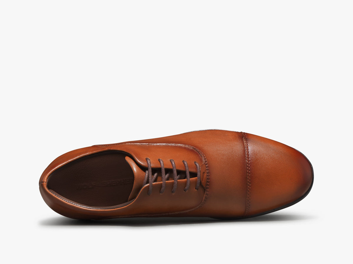 Capital Oxford - Whiskey / Brown
