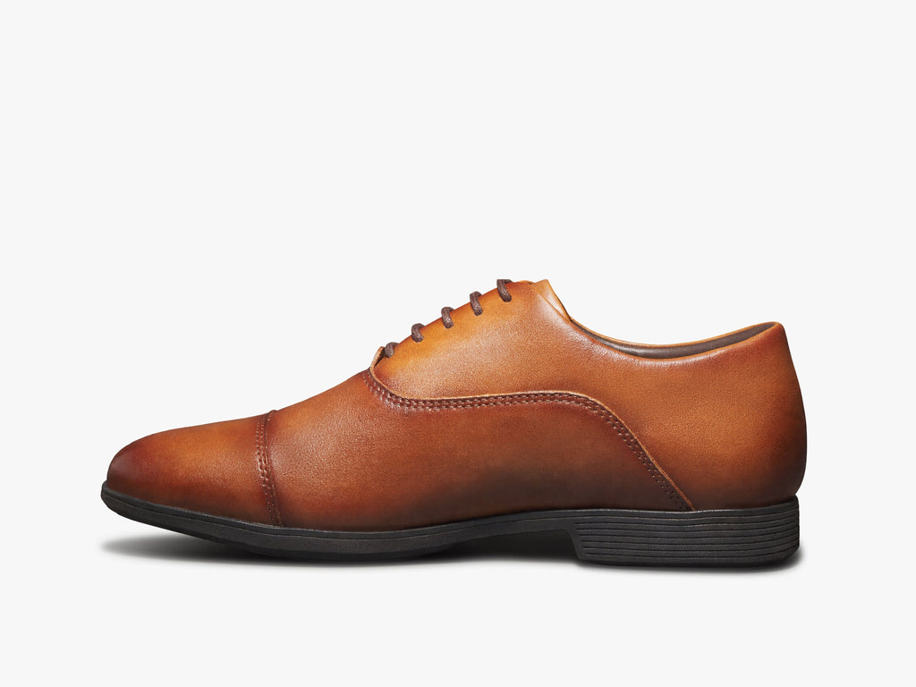 Capital Oxford - Whiskey / Brown