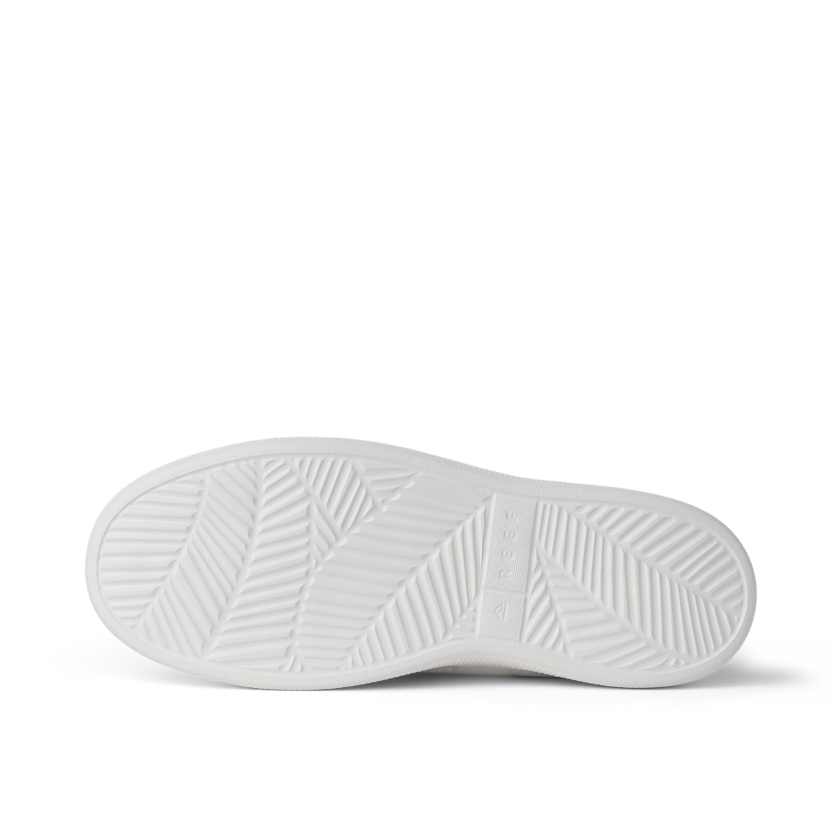 Reef Neptune