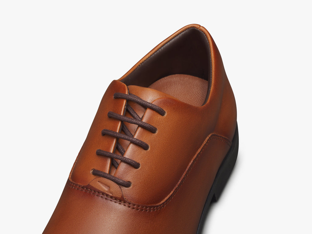 Capital Oxford - Whiskey / Brown
